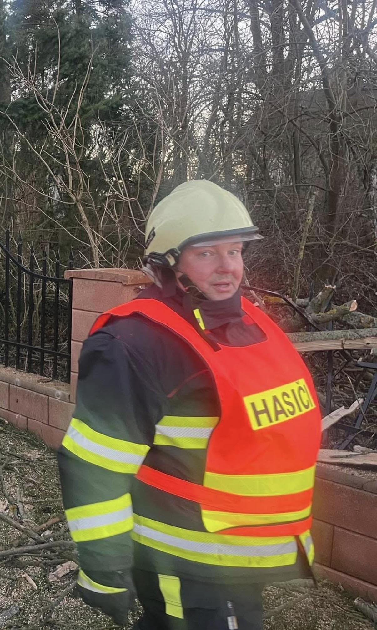 Kontrolní revizní komise